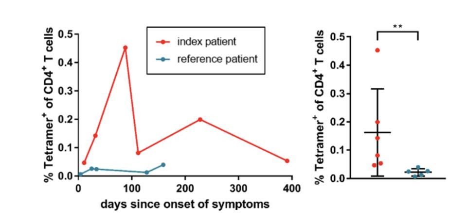 Graph of CD4 T cells in index and reference patient