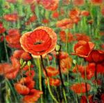 Flanders Field - Posted on Wednesday, April 1, 2015 by Eileen Fong