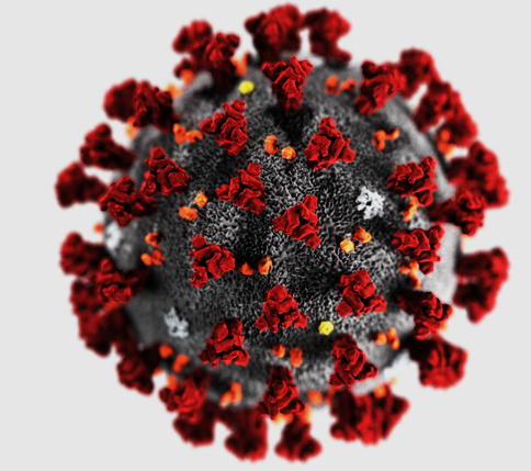 COVID-19 Virus