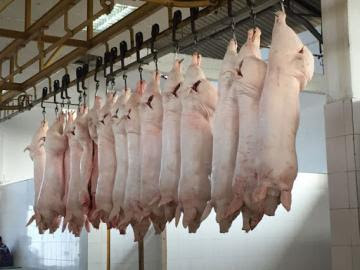 Importación de carne de cerdo por parte de Perú cae en 40%