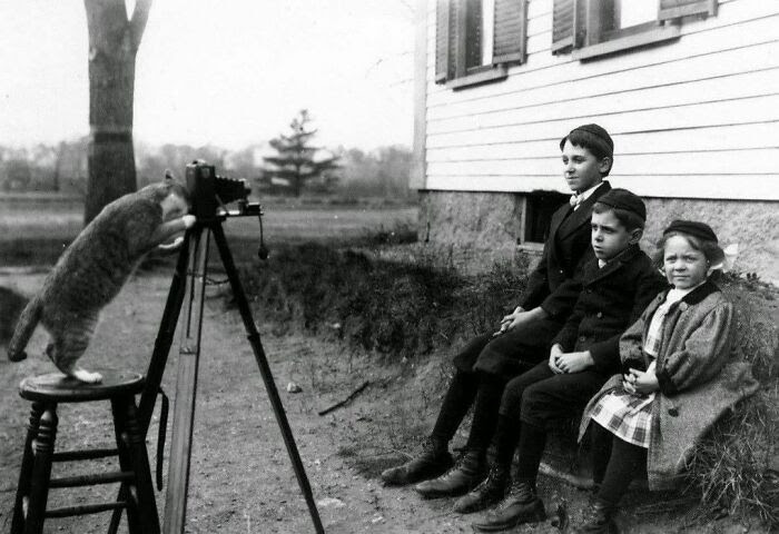 How Did You Think All These Pictures Were Taken? 1909