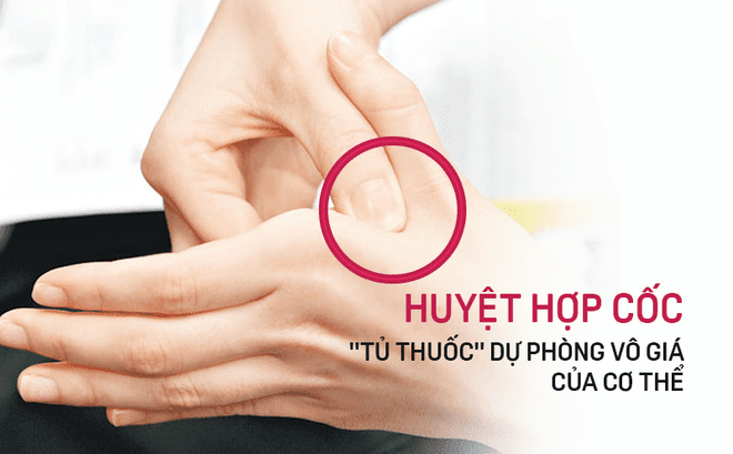 Huyệt hợp cốc: 