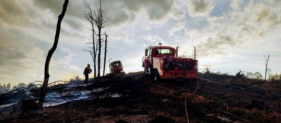 A fire truck sits atop a burned hillside with skeletal trees reaching into the sky after a fire in the DNR's Atlanta Forest Management Unit. 