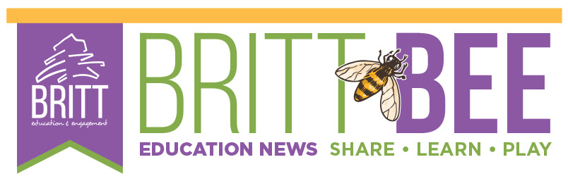 Britt Bee Education News