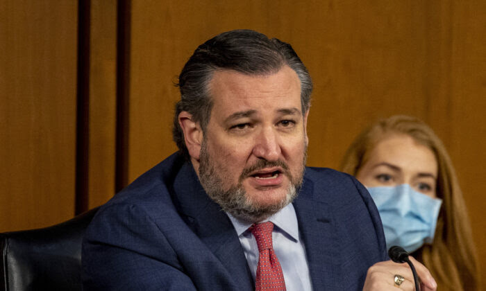 Ted Cruz is pushing back against gun control proposals in the wake of the Colorado shooting