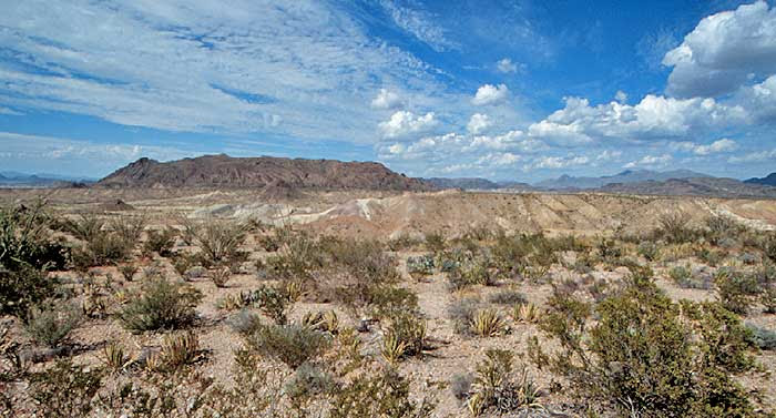 Chihuahuan Desert - DesertUSA