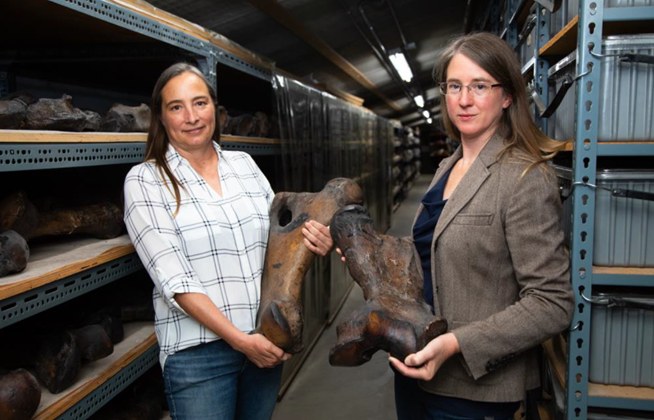 Regan Dunn, left, and Emily Lindsey, right, with Ice Age Fossils at La Brea Tar Pits Photo by Natalja Kent, Courtesy of NHMLAC