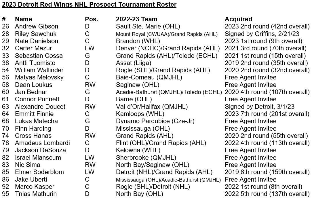 Red Wings release 2023 NHL Prospect Tournament roster and schedule