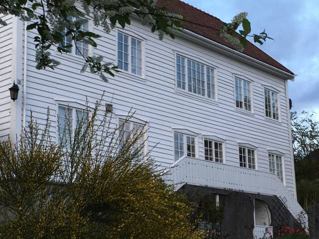 Stor, lys leilighet i erverdig trehus