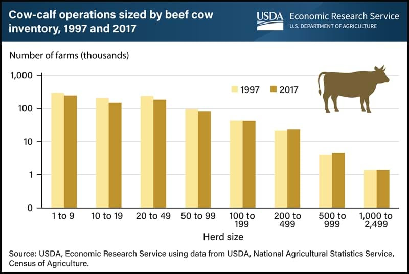 Vertical bar chart showing cow-calf operations sized by beef cow inventory between 1997 and 2017.