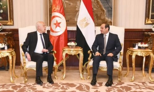 عبد الفتاح السيسي وقيس سعيد