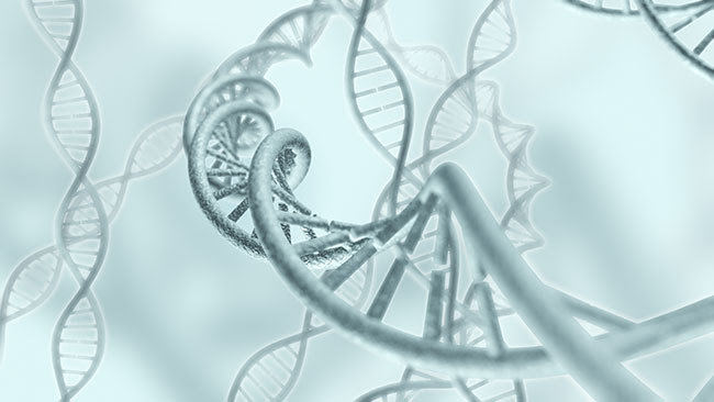 artistic rendering of DNA strands