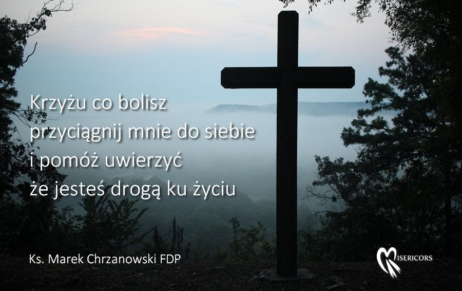 Krzyżu co bolisz – Ks. Marek Chrzanowski FDP – MISERICORS – Codzienna  aplikacja Miłosierdzia