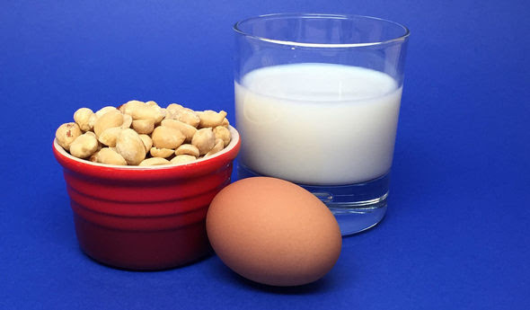 Bowl of peanuts, egg, and glass of milk