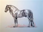 STANDING BLACK & WHITE ANDALUSIAN  Draw 07 - Posted on Thursday, January 8, 2015 by Sheri Cook