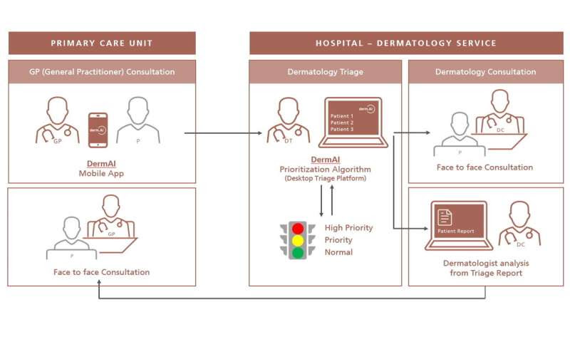 A mobile app and AI software to speed up skin-cancer diagnoses