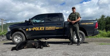 ECO standing next to vehicle and deceased bear