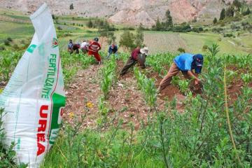 Acceso a fertilizantes dependería de Bolivia y Venezuela