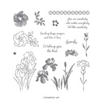 Inspiring Iris Photopolymer Stamp Set