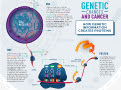 Genes contain information to make proteins, and proteins control many important functions like cell growth. 