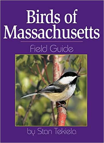 EBOOK Birds of Massachusetts Field Guide