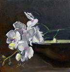 Orchid and Brown Bowl - Posted on Monday, December 1, 2014 by Sandra Kavanaugh