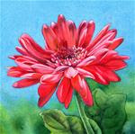 MY LOVE IS LIKE A RED, RED DAISY watercolor flower painting - Posted on Wednesday, March 11, 2015 by Barbara Fox