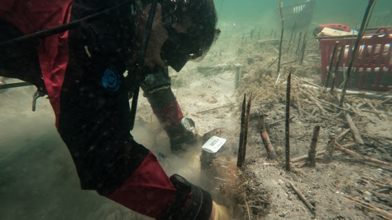 Europe's oldest known village teetered on stilts over a Balkan lake 8,000 years ago