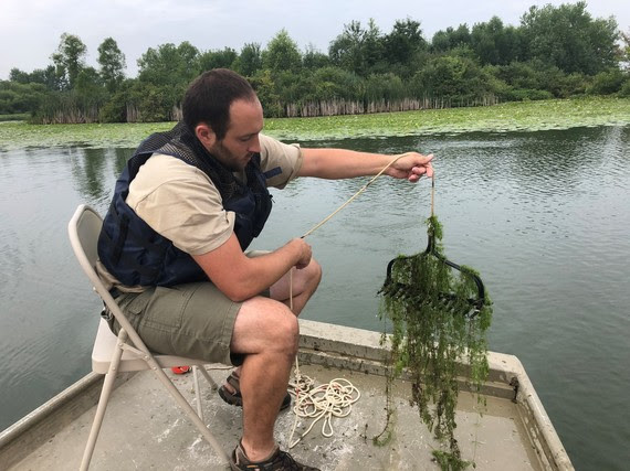 A man sitting on a chair in a boat as he holds moss with the head of a rake.
