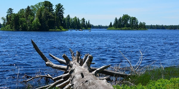 view from the shore at King Lake State Forest Campground in Baraga County; downed tree in foreground, lots of Blue water, treed islands in background