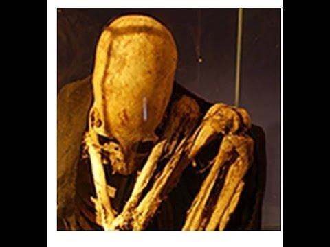Are These Skeletons Human? Hqdefault