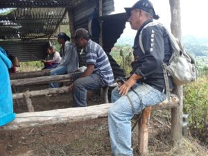 grupo campesino Las Torres1