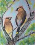 Waxwing Duet - Posted on Thursday, February 5, 2015 by Anna Lisa Leal