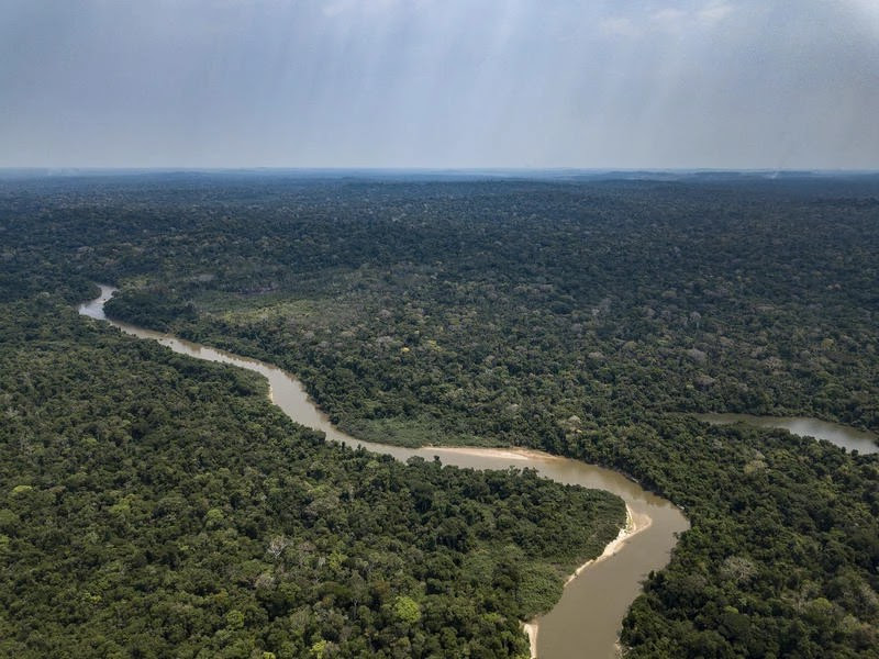 Imagem aérea da Resex Jacy-Paraná, cortada ao meio por um rio sinuoso