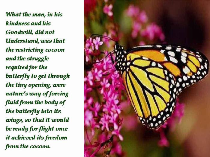 utterfly
inspiring
story