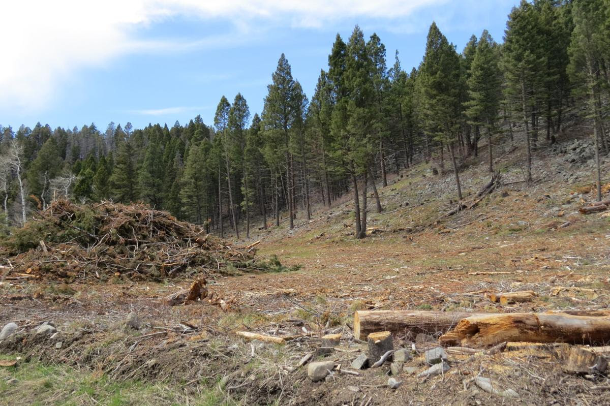 Ten Mile-South Helena Logging