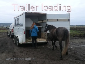 _trailer loading_hippologic