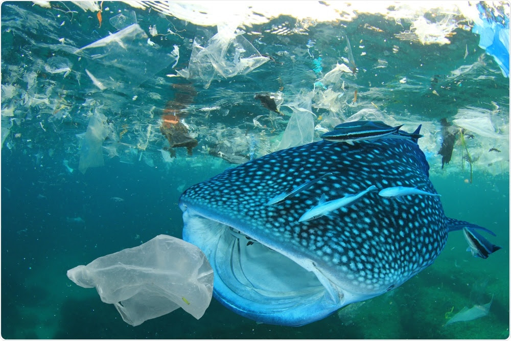 Plastic Pollution in Sea