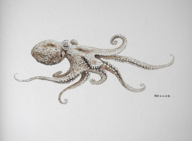 octopus painting