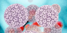 HPV