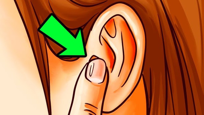 Chỉ 5 phút xoa tai: Hãy xem 6 điều đáng giá xảy ra với toàn bộ cơ thể - Ảnh 9. Chỉ 5 phút xoa tai: Hãy xem 6 điều đáng giá xảy ra với toàn bộ cơ thể - Ảnh 9.