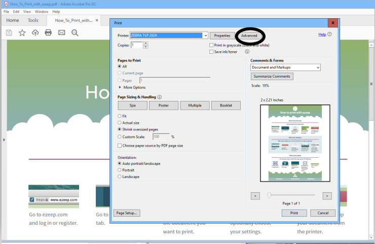 screenshot: advanced settings in the print dialog