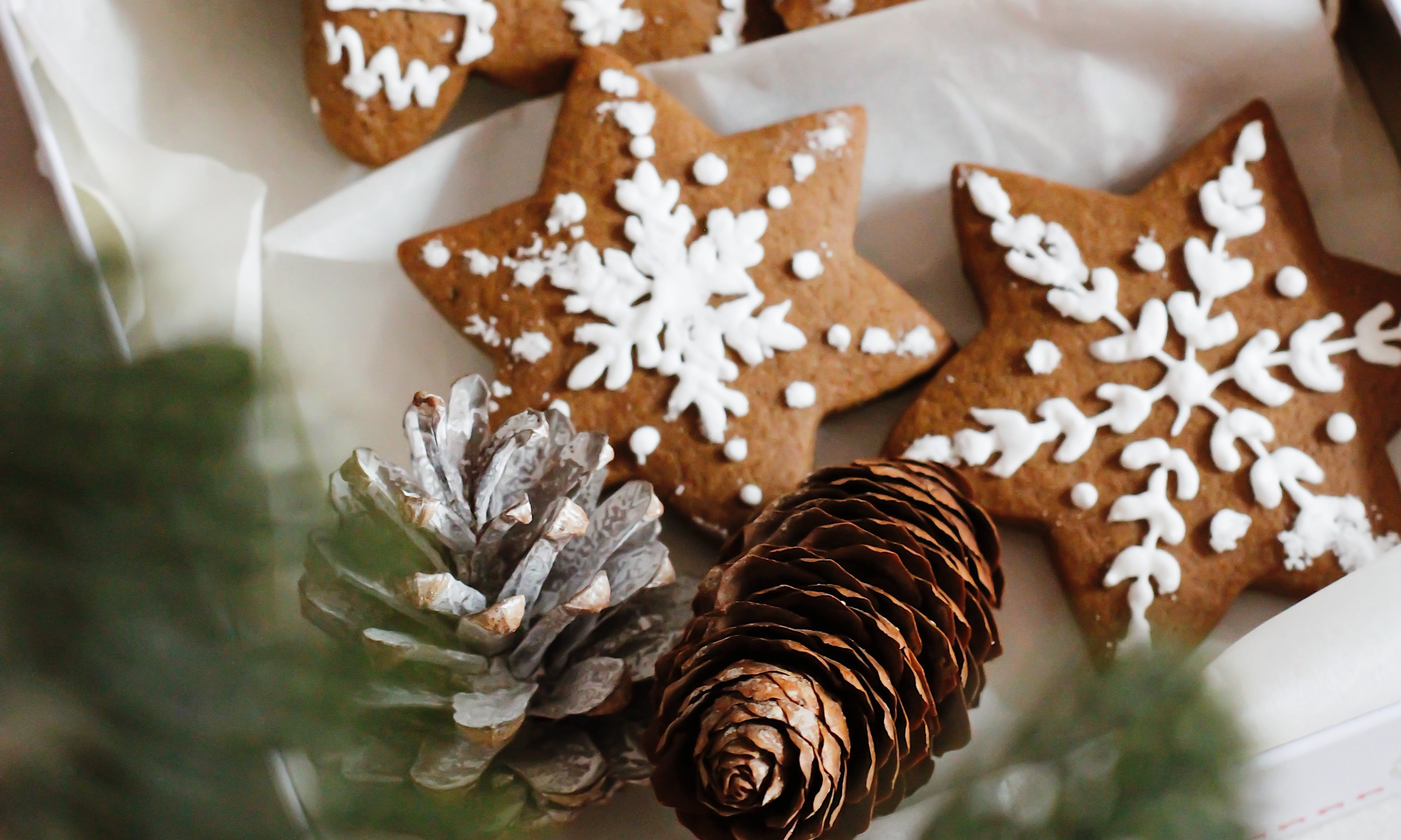 Two cinnamon-coloured, star-shaped cookies, topped with white snowflake icing.