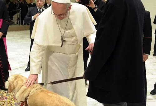 El Papa Francisco acaricia a un perro guía (Foto L'Osservatore Romano)