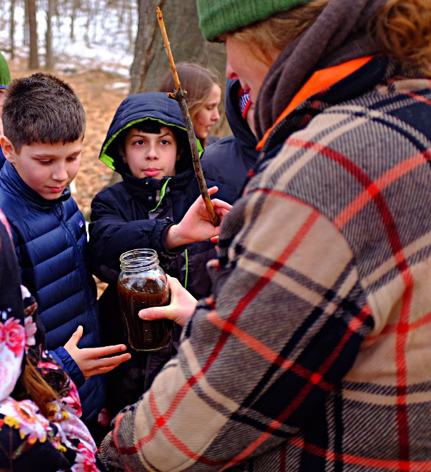 maple syrup samples