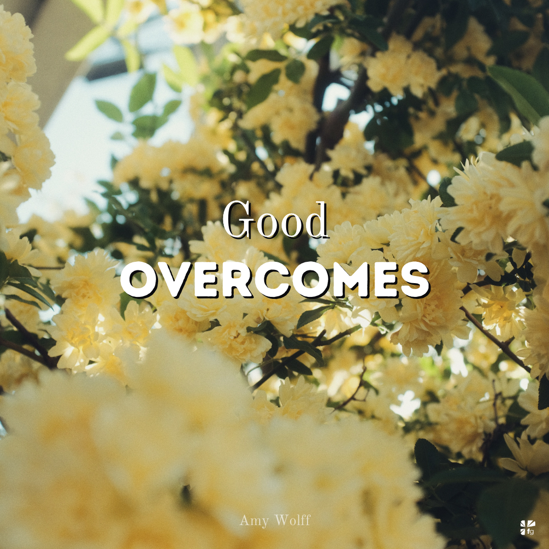 Good overcomes. Good overcomes.