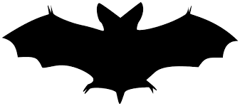 Image result for bats