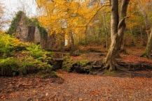 Roslin Glen