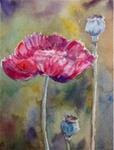 Pink Poppy - Posted on Sunday, January 25, 2015 by Lyn Gill