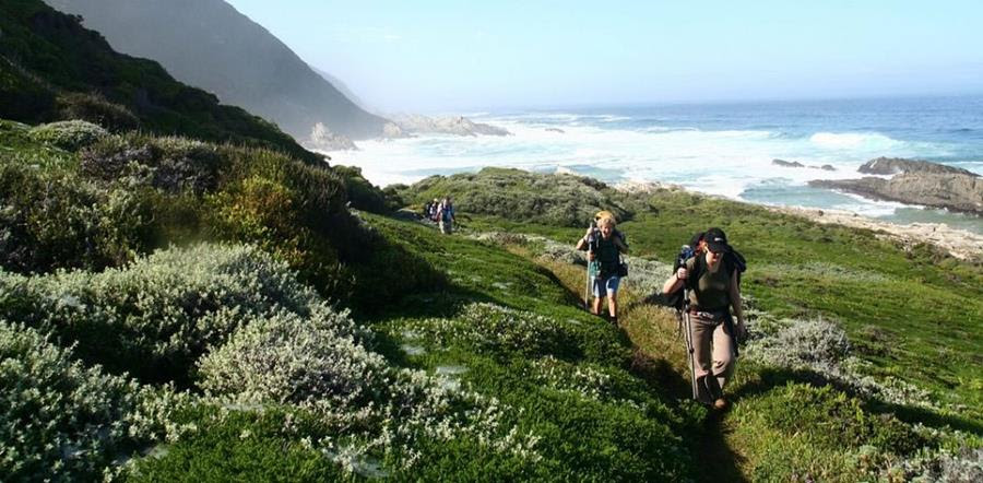 The Plett Trails app helps to inform users with regard to trail information, difficulty grading and skills, and trail classification.